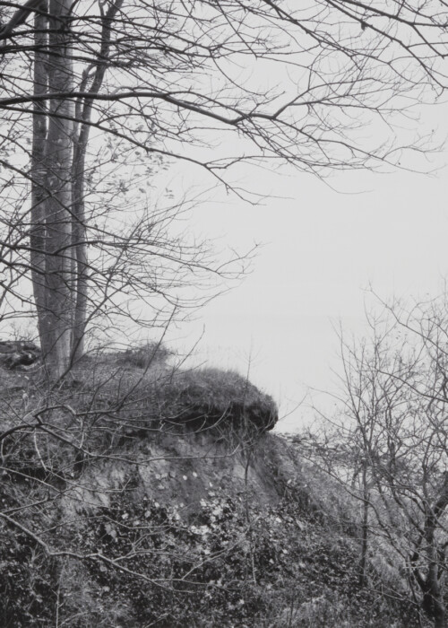 MÄRZ
Martin Zellerhoff:
Steilküste, bei Heiligendamm (#2012060) ::
InkJet Druck