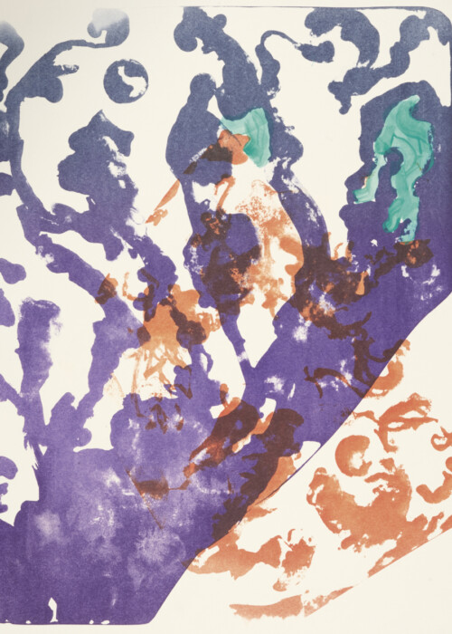 JULI
Deborah S. Phillips:
Streifen, spriessend, 2021
Lithografie, Irisdruck handcoloriert