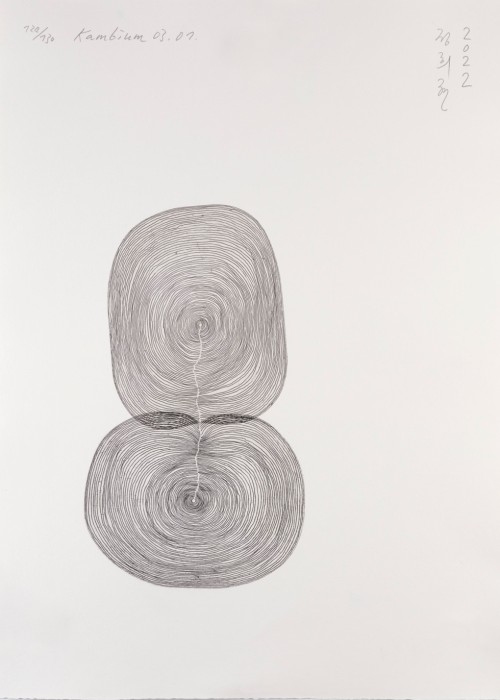 FEBRUAR
Heehyun Jeong:
Kambium 0 3.01., 2022
Radierung