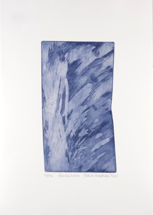 AUGUST
Patrick Kaufmann:
Blaubeerbaum, 2022
Radierung mit Strich- und Tonflächenätzung