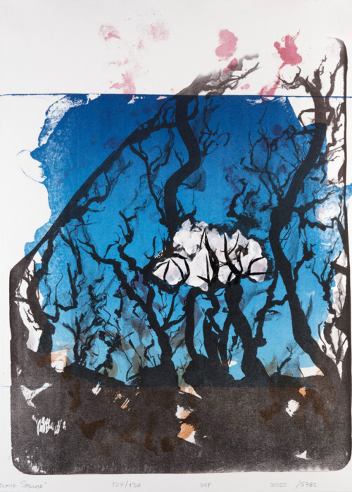 DEZEMBER
Deborah S . Phillips:
Die blaue Stunde, 2022
mehrfarbige Lithografie, handcoloriert